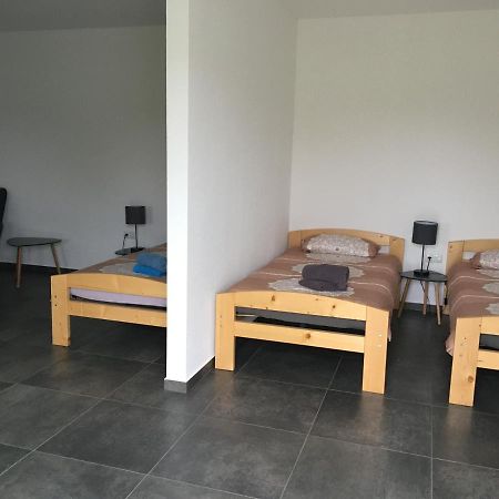 Monteurwohnung 2 Ingelheim am Rhein Eksteriør bilde
