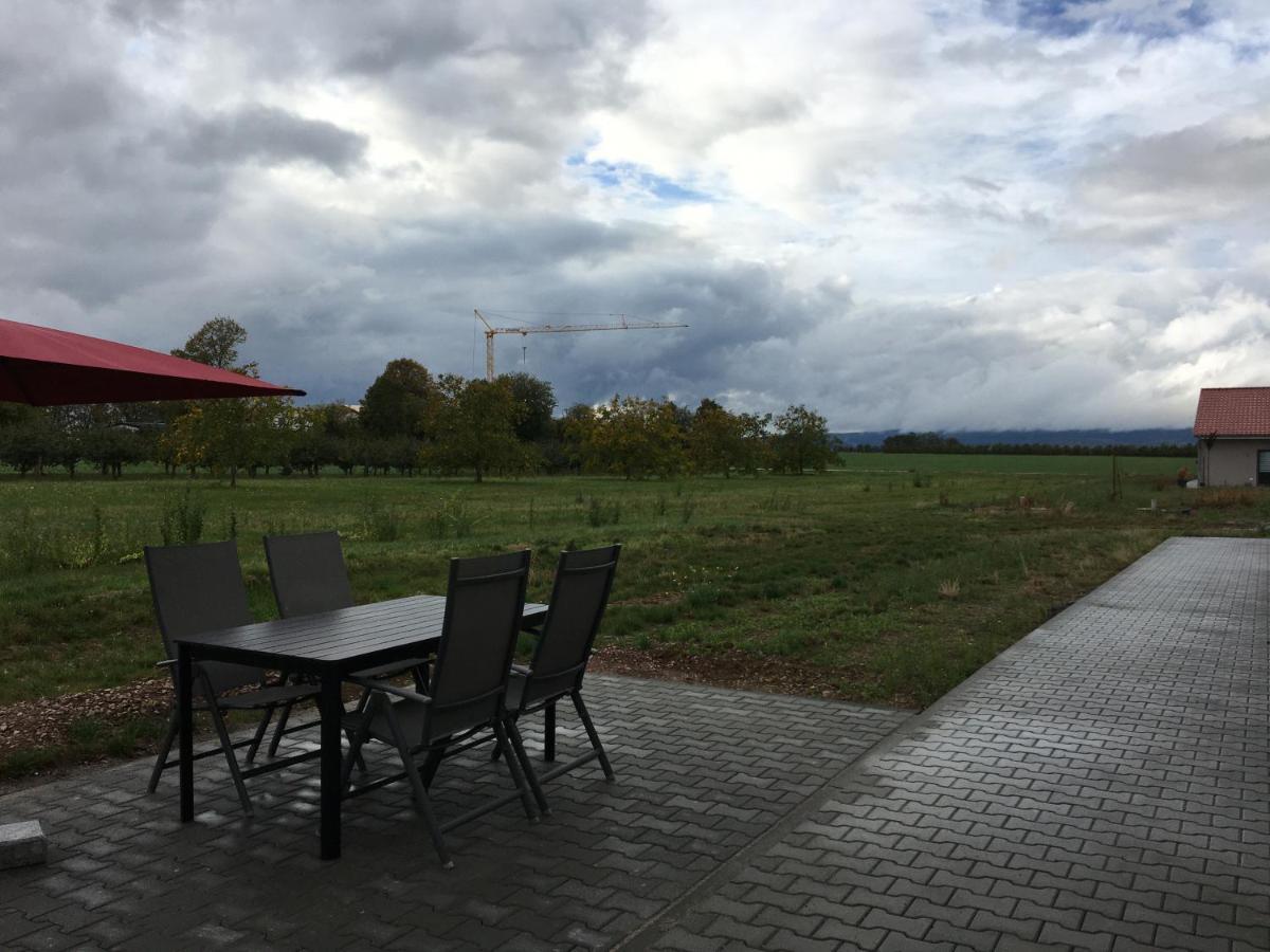 Monteurwohnung 2 Ingelheim am Rhein Eksteriør bilde